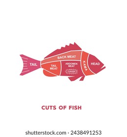 Guía de ilustración vectorial Conjunto de cortes de carne. Carnicero de pescado Póster diagramas y esquemas.