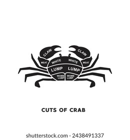 vector illustration guide Meat cuts set. crab Butcher Poster diagrams and schematics.