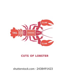 vector illustration guide Meat cuts set. lobster Butcher Poster diagrams and schematics.