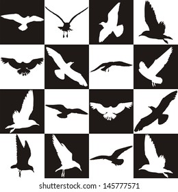 vector illustration of gulls on a background of black and white squares