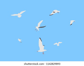 Vector illustration gulls in the sky