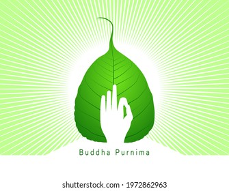 Vector Illustration for Guru Purnima or Buddha Purnima. A Celebration in India and Nepal. Vesak day. Pipal leaf on a white background
