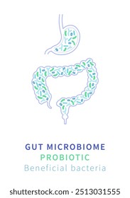 Vector Illustration of the gut microbiome showing beneficial bacteria in the digestive system. Highlights the importance of probiotics for gut health and overall well-being