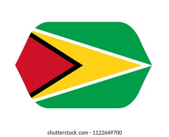 vector illustration of Guyana flag