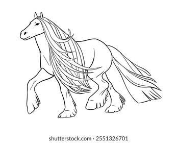 Vector illustration of Gypsy Vanner horse. Black outline on white background for coloring book.