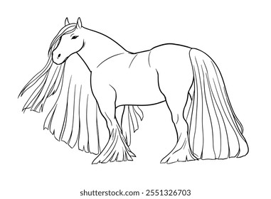 Vector illustration of Gypsy Vanner horse. Black outline on white background for coloring book.