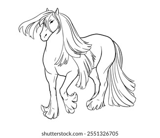 Vector illustration of Gypsy Vanner horse. Black outline on white background for coloring book.