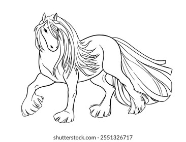 Vector illustration of Gypsy Vanner horse. Black outline on white background for coloring book.