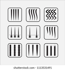 Vector Illustration Of A Hair Texture Chart. Hair Types Icon Set.