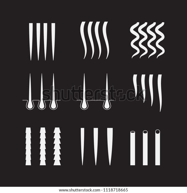 Vector Illustration Hair Texture Chart Hair Stock Vector Royalty