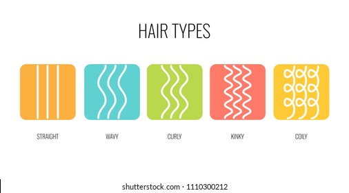 Vector Illustration of a Hair Types chart displaying all types and labeled. Curl types icon set for cosmetics, shampoo, conditioner, mask.