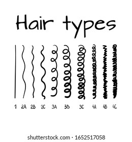 Vector illustration of hair types chart with all curl types, labeled. Curly girl method concept.