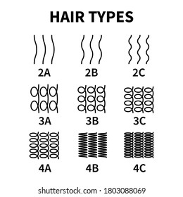 Vector illustration of hair types chart with all curl types, labeled. Curly girl method concept. Waves, coils and kinky hair