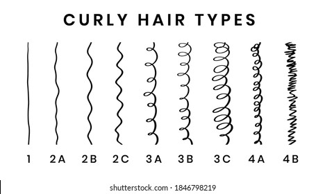 Vector illustration of hair types chart with all curl types, labeled. Curly girl method concept. From 1 to 4B.