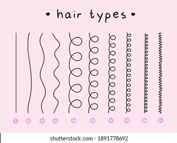 Vector Illustration of a Hair Types chart displaying all types Curl types wavy types