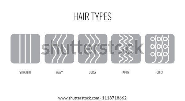 Vector Illustration of a Hair Types chart\
displaying all types and labeled. Curl types icon set for\
cosmetics, shampoo, conditioner,\
mask.