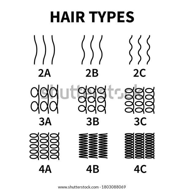 Vector illustration of hair types chart with all\
curl types, labeled. Curly girl method concept. Waves, coils and\
kinky hair