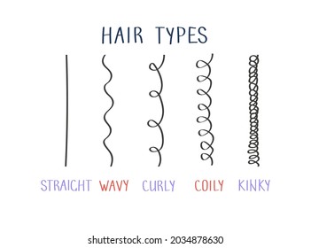 Vector illustration of hair types with curl types labeled. Straight, wavy, curly, coily and kinky hairs. Curly girl method (CGM) concept