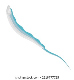 Vector illustration of a hairtail on a white background. This marine fish is famous for its large head and long and slender shape. This fish is distributed in tropical and temperate waters.