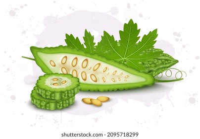 Ilustración vectorial de media calabaza amarga con dos rodajas redondas de calabaza amarga