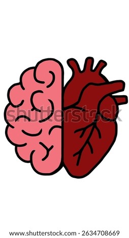 Vector illustration of half brain and half heart depicted with heart has meaning between thought and feeling