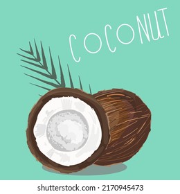 Vector illustration of a half coconut and a whole fruit, with a green palm branch. Lettering coconut.