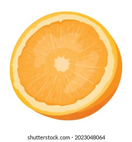 Vector illustration of half an orange with zest, twig and leaf. A healthy and natural citrus fruit with pulp.