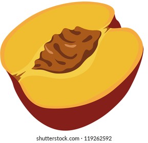 vector illustration of a half of a peach with a pit