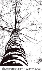 Vector illustration in halftone style. Image of birch trunk, branches. For background and textures