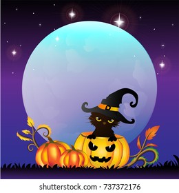 Vector and Illustration of Halloween background and copy space of cute black cat in Halloween pumpkin and blue moon on night stars purple sky