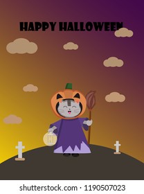 vector illustration for Halloween! The cat and the pumpkin !
