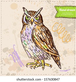 Vector illustration of halloween owl with candle,  color hand drawn on vintage paper background