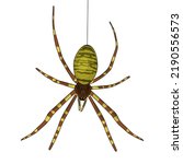 Vector illustration Halloween spider. Element for Halloween design. Spider cross hanging on the web.
