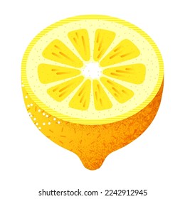 Vector illustration of halved lemon against white background Minimalist vector image of cut halved fresh yellow lemon isolated against white background