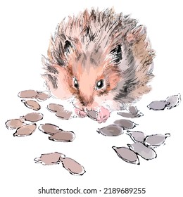 Vector illustration of hamster with pumpkin seeds. Traditional chinese ink and wash painting.