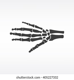 Vector illustration hand bones. Orthopedic human hand skeleton icon. Diagnostic center