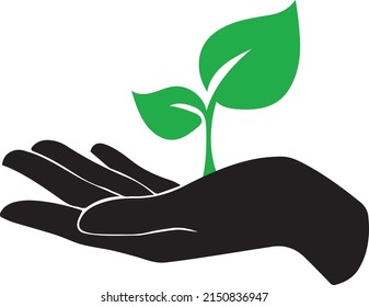 Ilustración vectorial de una mano sosteniendo cuidadosamente un icono de hoja ecológica verde aislado en fondo blanco