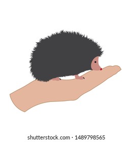 Vector illustration of a hand in a defensive gesture protecting a hedgehog. Symbol of animal,veterinary,safe, care, protection.