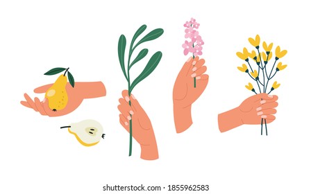 Vector illustration of a hand in different poses with fruit herbs and flowers. Hand drawn hand sat in a bright color. The illustration is suitable for a local farm, gardening, healthy life.