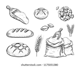 Vector illustration of hand draw bakery set: flour bag, bread, wheat ear, sketched concept. Black ink line art drawing isolated on white background. Organic food graphic. Engraving retro vintage icons