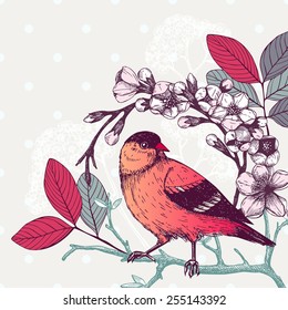 Vector illustration with hand draw bird on blooming tree twig. Vintage sketch of red bird