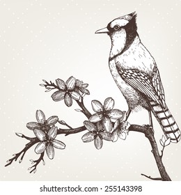 Bird Sketch Images Stock Photos Vectors Shutterstock