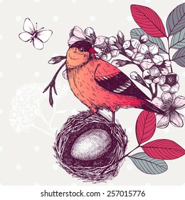 Vector illustration with hand draw bird on blooming tree twig. 