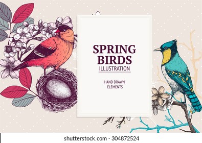 Vector illustration with hand draw bird on blooming tree twig. Vintage sketch of beautiful birds with butterflies and flowers. Greeting card design.