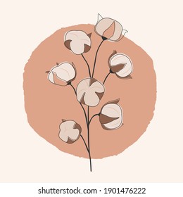 Vector illustration of hand draw cotton plant. Can be used as decor element or rustic wedding, print, organic products, textile. 