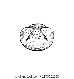 Vector illustration of hand draw wheat cereal bread. Sketched bakery concept. Black line art drawing, isolated on white background. Gluten food ingredient graphics. Engraving retro vintage icon