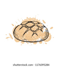 Vector illustration of hand draw wheat cereal bread. Sketched bakery concept. Black line art drawing, isolated on white background. Gluten food ingredient graphics. Engraving retro vintage icon