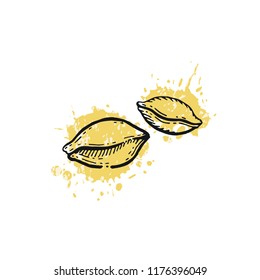 Vector illustration of hand draw wheat ears. Cereal bread sketched concept. Black line art drawing with watercolor ear crop isolated on white background. Gluten food ingredient. Engraving vintage icon