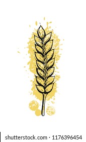 Vector Illustration Of Hand Draw Wheat Ears. Cereal Bread Sketched Concept. Black Line Art Drawing With Watercolor Ear Crop Isolated On White Background. Gluten Food Ingredient. Engraving Vintage Icon