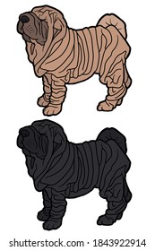 Vector illustration. Hand drawing art. Shar Pei dog. Cartoon character. Realistic design.